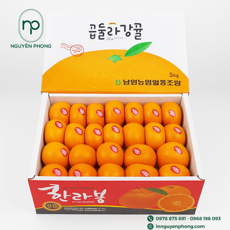 in-thung-carton-dung-dua-gia-re-tai-ha-noi